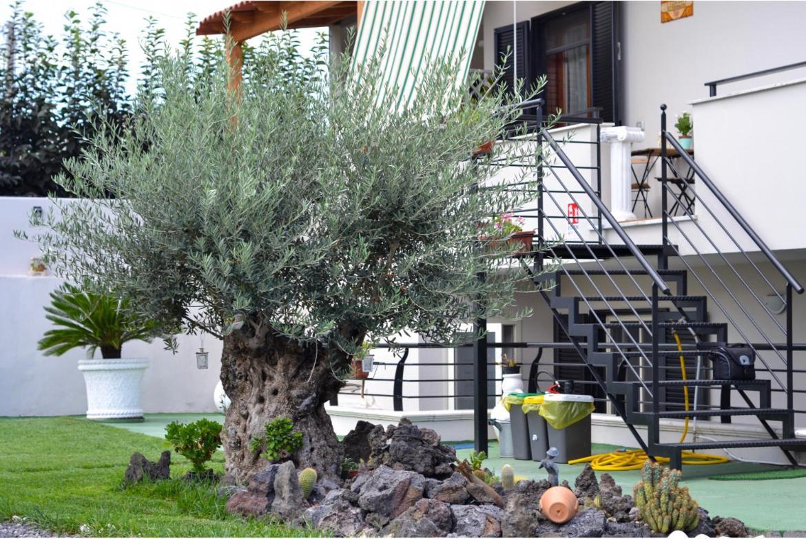Pompei Gryllus Bed & Breakfast Bagian luar foto